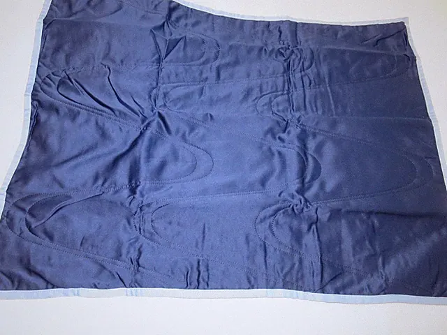 2 Tommy Hilfiger Calypso Quilted Standard shams Blue RARE